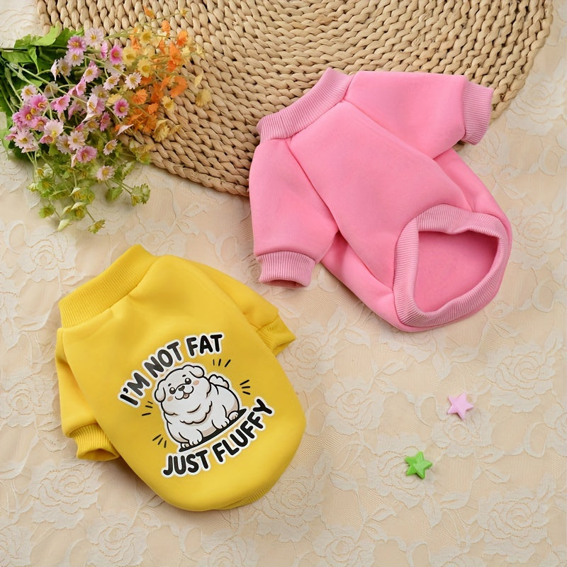 8 Cute and Cozy Sweaters