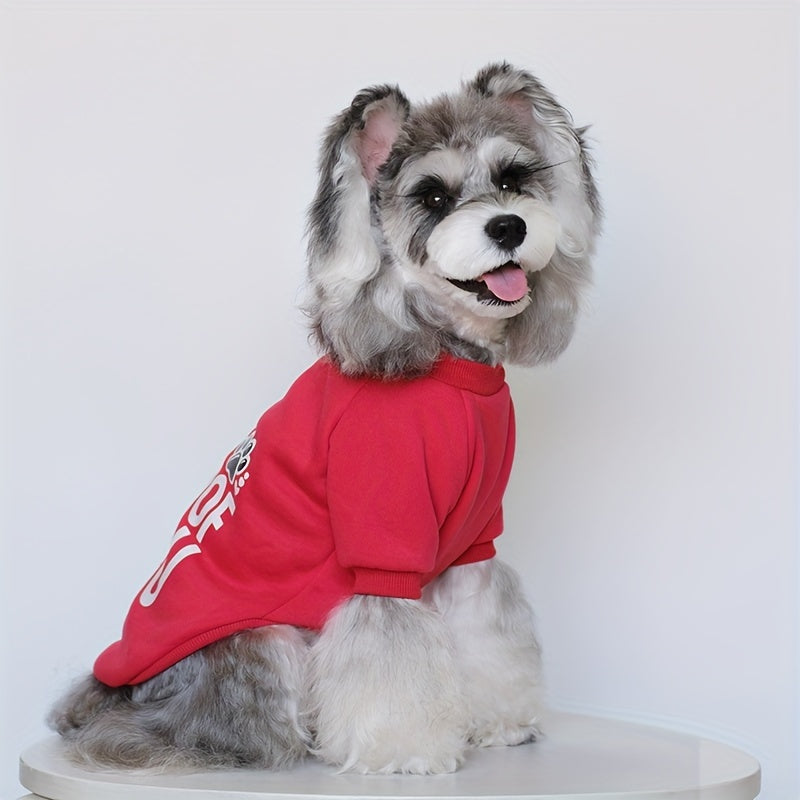 8 Cute and Cozy Sweaters