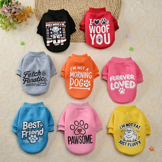 8 Cute and Cozy Sweaters