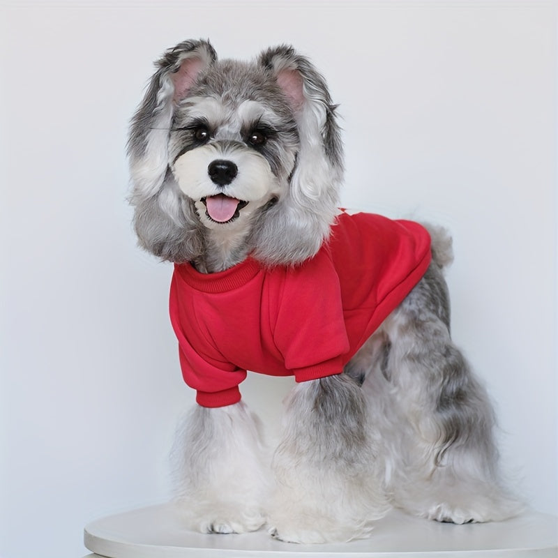 8 Cute and Cozy Sweaters