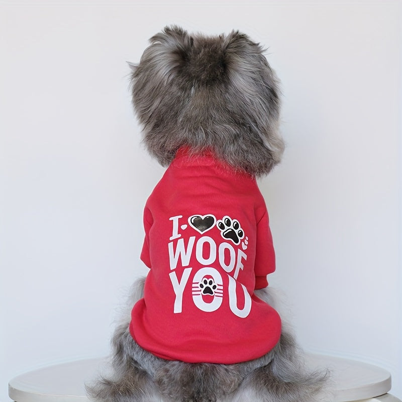8 Cute and Cozy Sweaters
