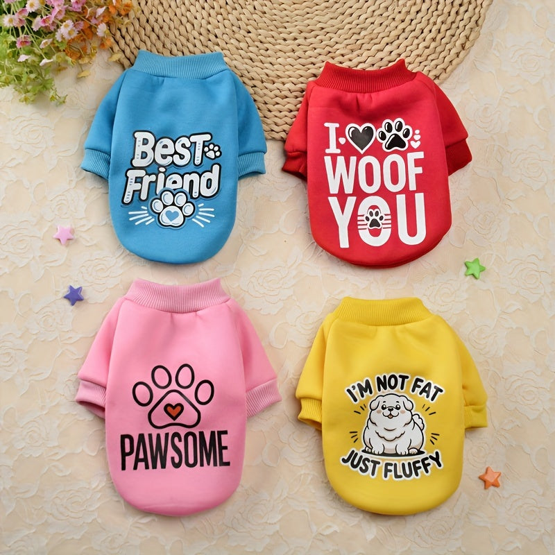8 Cute and Cozy Sweaters