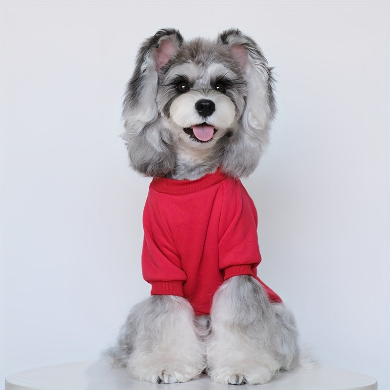 8 Cute and Cozy Sweaters
