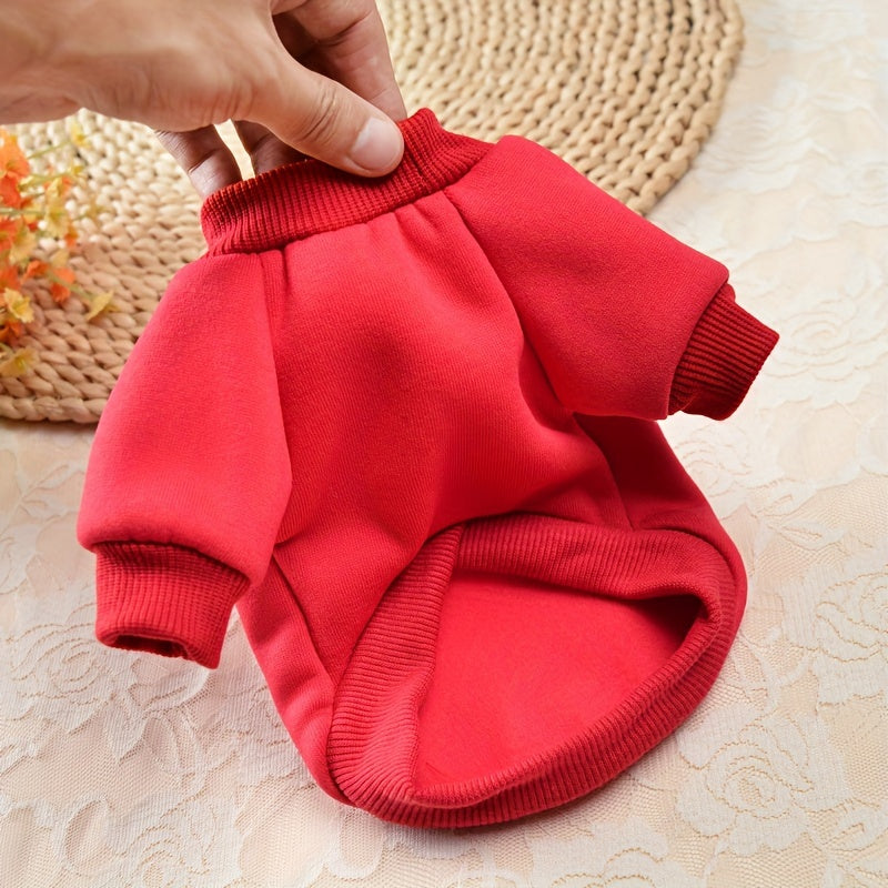 8 Cute and Cozy Sweaters
