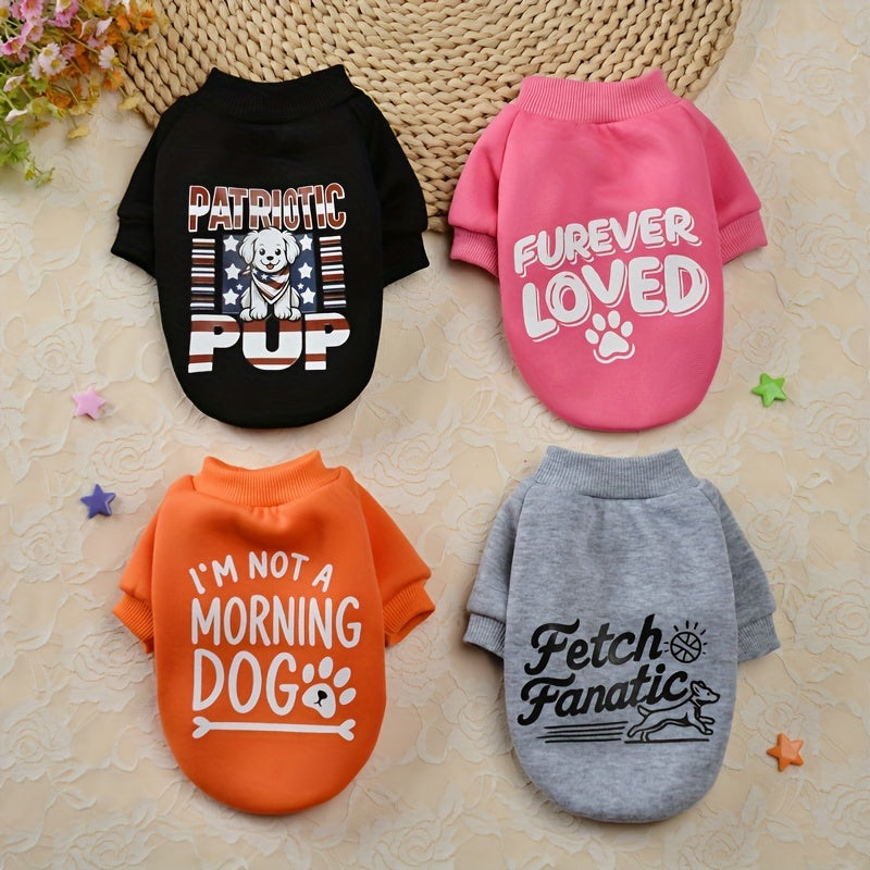 8 Cute and Cozy Sweaters